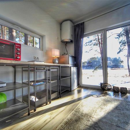 Gaujaclub - Our Bose And Bang&Olufsen Lofts On A Lake Gauja  Εξωτερικό φωτογραφία