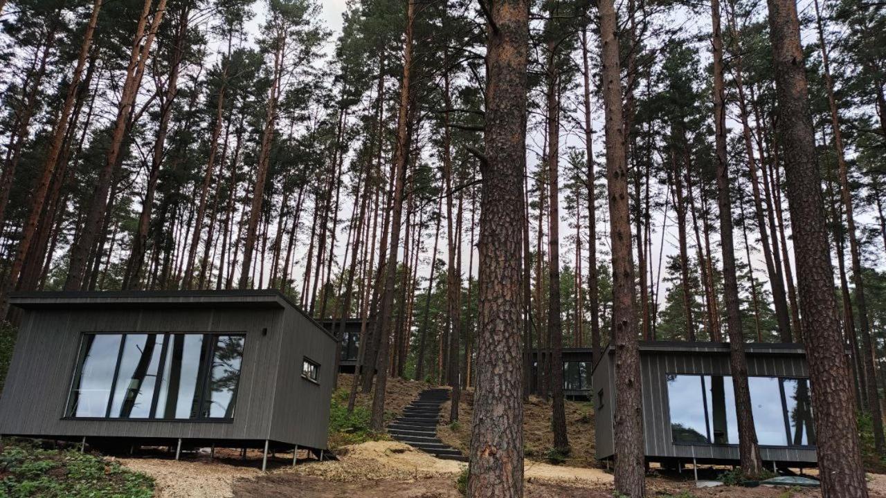 Gaujaclub - Our Bose And Bang&Olufsen Lofts On A Lake Gauja  Εξωτερικό φωτογραφία