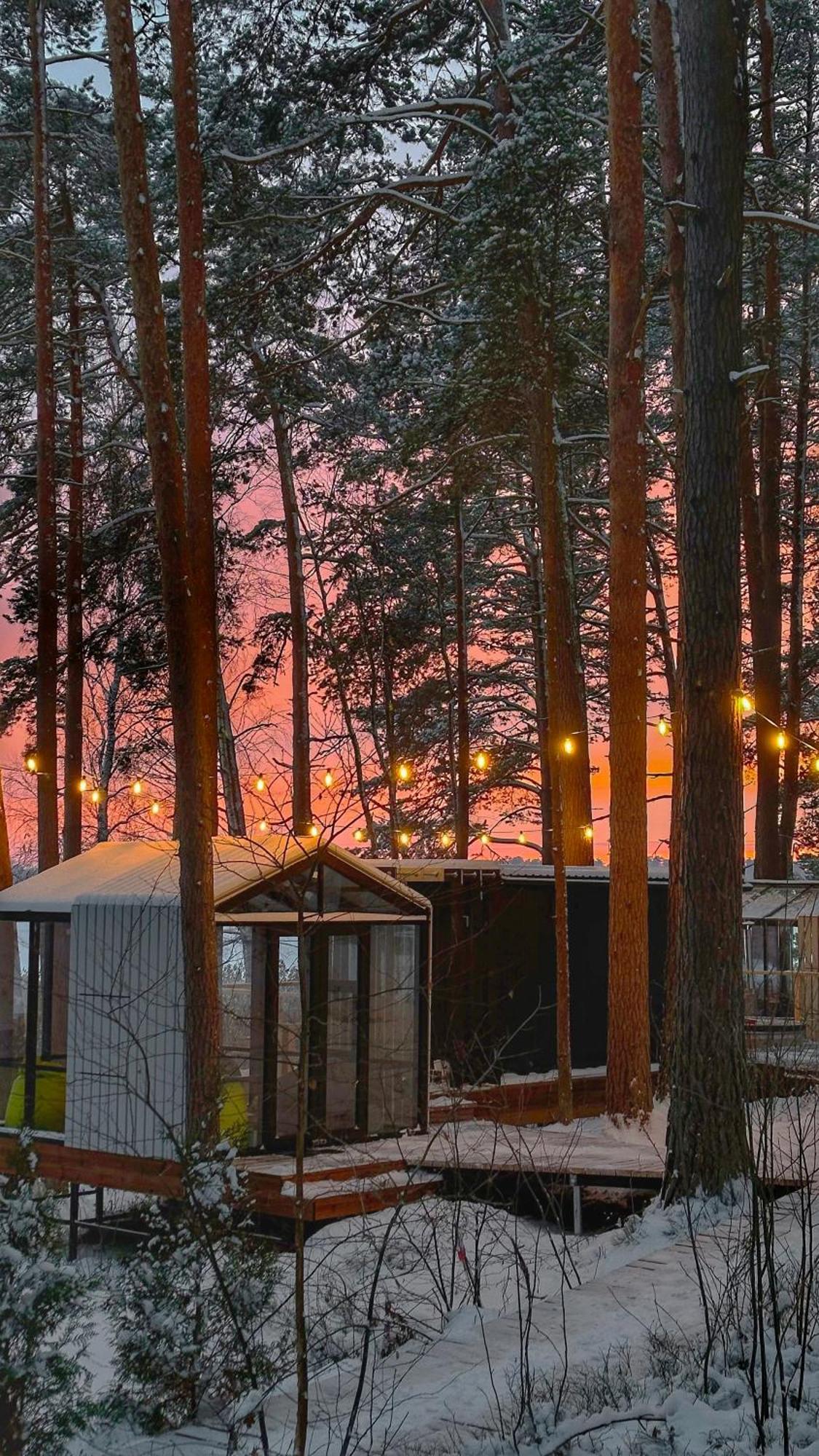 Gaujaclub - Our Bose And Bang&Olufsen Lofts On A Lake Gauja  Εξωτερικό φωτογραφία