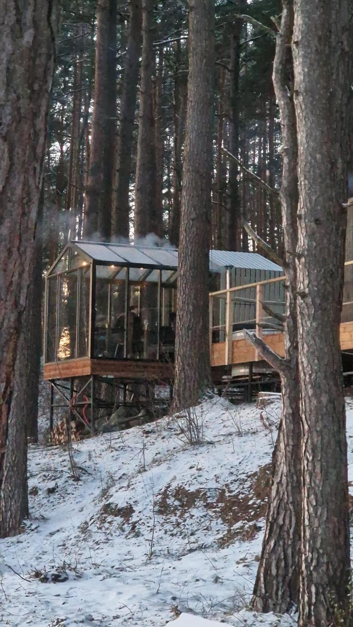 Gaujaclub - Our Bose And Bang&Olufsen Lofts On A Lake Gauja  Εξωτερικό φωτογραφία