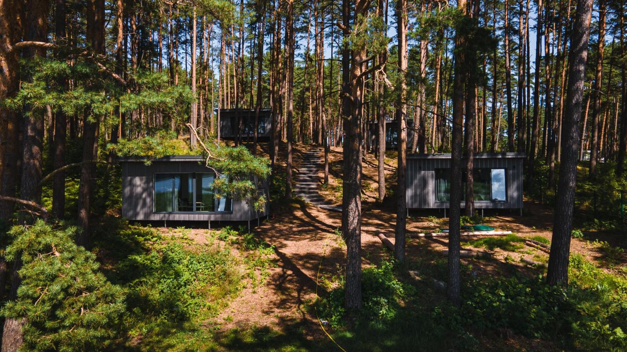 Gaujaclub - Our Bose And Bang&Olufsen Lofts On A Lake Gauja  Εξωτερικό φωτογραφία
