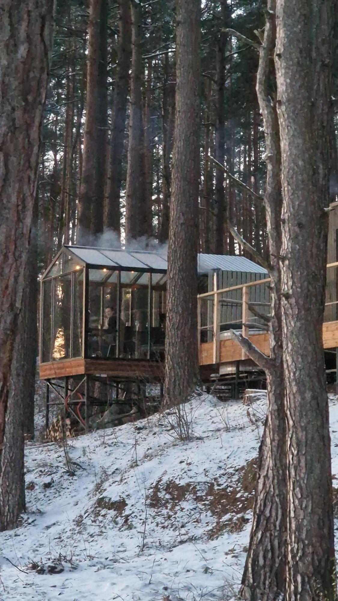 Gaujaclub - Our Bose And Bang&Olufsen Lofts On A Lake Gauja  Εξωτερικό φωτογραφία
